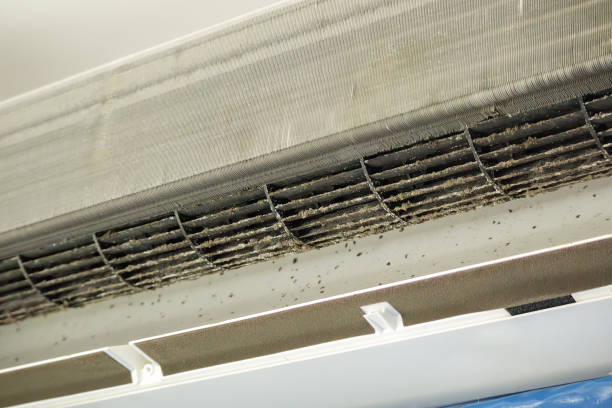 Best Air Duct Mold Removal  in Kingstown, MD